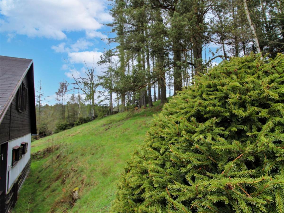 U Krasne Lipy By Interhome Kyjov (Usti nad Labem)